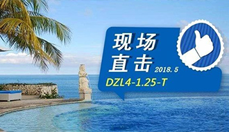 現(xiàn)場直擊丨看生物質(zhì)鍋爐在巴厘島如何強操作，回頭客非它不選
