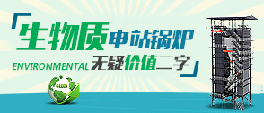 生物質(zhì)電站 -- 中國電力工業(yè)結構調(diào)整新方向